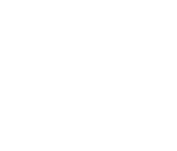 bloom-logo