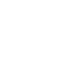 cee-concept-white-logo-250